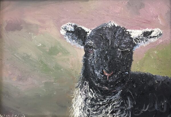lake district art original oil painting by local artist Simon Whitfield featuring Herdwick Lamb VI