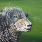 lake district art original oil painting by local artist simon whitfield Herdwick Langdale VI