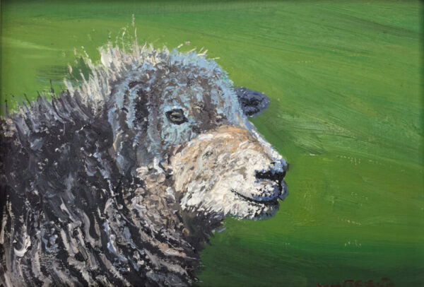 lake district art original oil painting by local artist simon whitfield Herdwick Langdale VI