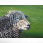 lake district art original oil painting by local artist simon whitfield Herdwick Langdale VI