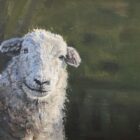lake district art original oil painting by local artist simon whitfield herdwick sheep