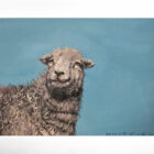 lake district art original oil painting by local artist simon whitfield herdy blue skies sheep