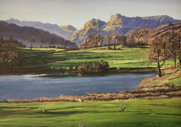 lake district art original oil painting by local artist simon whitfield langdales and loughrigg tarn