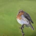 lake district art original oil painting by local artist simon whitfield robin study III