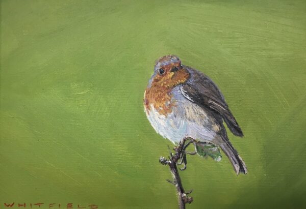 lake district art original oil painting by local artist simon whitfield robin study III