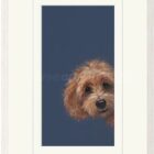 Limited Edition Print by British Artist Nicky Litchfield. Sneaky Peek featuring a cockapoo peeking into frame.