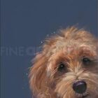 Limited Edition Print by British Artist Nicky Litchfield. Sneaky Peek featuring a cockapoo peeking into frame.