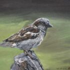 lake district art original oil painting by local artist simon whitfield sparrow II garden bird
