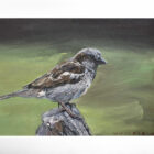 lake district art original oil painting by local artist simon whitfield sparrow II garden bird