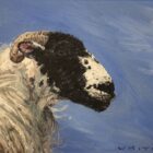lake district art original oil painting by local artist simon whitfield swaledale study sheep