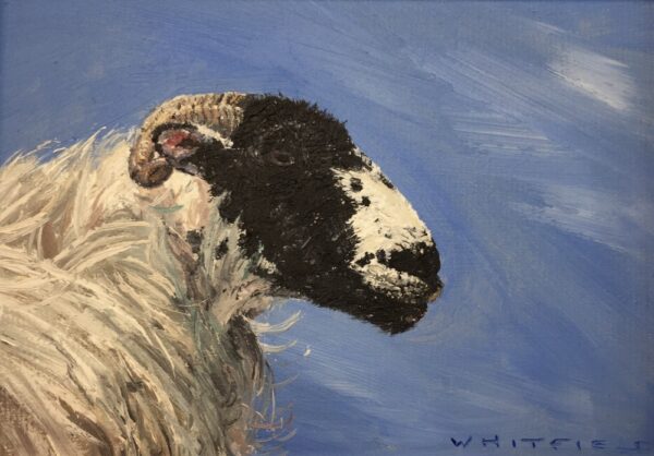 lake district art original oil painting by local artist simon whitfield swaledale study sheep