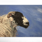 lake district art original oil painting by local artist simon whitfield swaledale study sheep