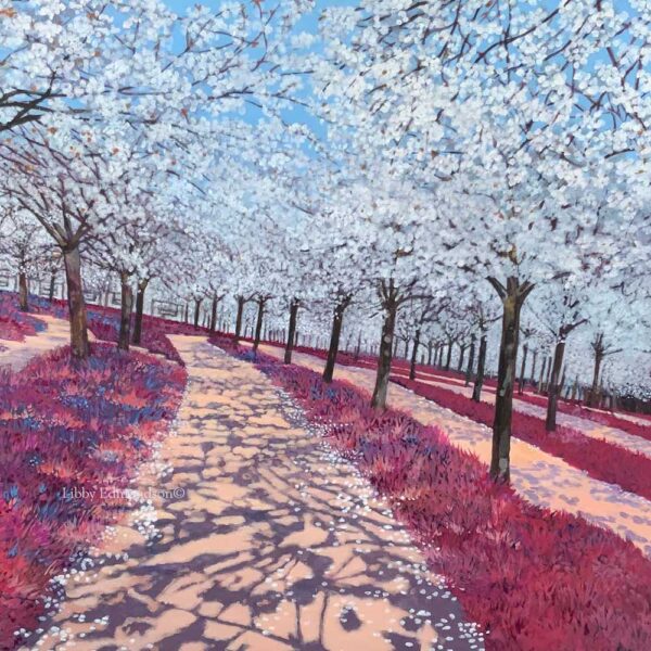 Lake District art framed limited edition print The Cherry Orchard by Libby Edmondson of rows of white blossom trees with shadows cast on a pink striped ground.