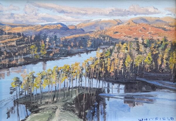 original oil painting by local artist Simon Whitfield featuring autumn scene at tarn hows