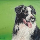 original oil painting by local artist Simon Whitfield featuring border collie sheepdog portrait