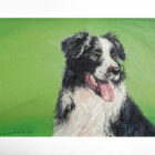 original oil painting by local artist Simon Whitfield featuring border collie sheepdog portrait