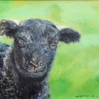 original oil painting by local artist Simon Whitfield featuring herdwick sheep herdy lamb