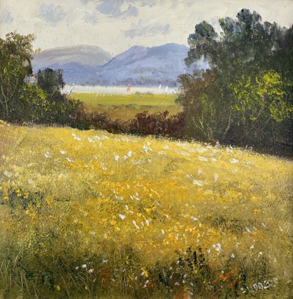 lake district art original oil painting by local artist Jeff Sudders featuring a colourful flower meadow overlooking a Lake and mountains