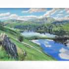 original oil painting by local artist Simon Whitfield featuring tarn hows summer scene looking towards the coniston fells