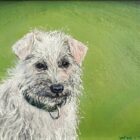 lake district art original oil painting terrier by simon whitfield of a white dog wearing a collar with a bright green backbround