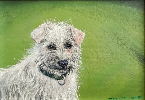 lake district art original oil painting terrier by simon whitfield of a white dog wearing a collar with a bright green backbround