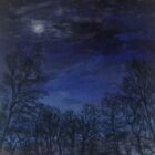 lake district art original mixed media painting the queen's eve moonlight over trees from bluebell woods coniston by daniel cooper of midnight blue skies looking up through trees to a veiled moon and clouds