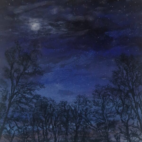 lake district art original mixed media painting the queen's eve moonlight over trees from bluebell woods coniston by daniel cooper of midnight blue skies looking up through trees to a veiled moon and clouds